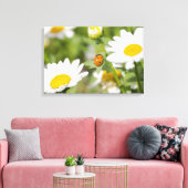 Toile Ladybug dans un jardin de marguerite (Insitu(Salon))