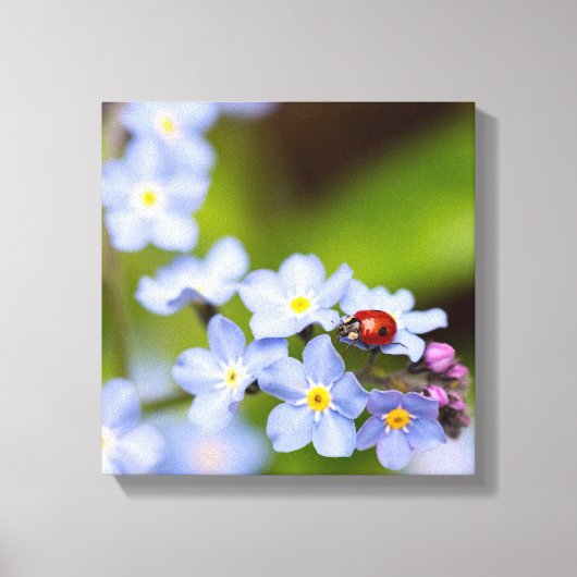 Toile Ladybug sur Forget-me-not (Recto)
