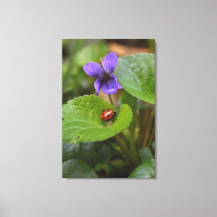 Toile Ladybug sur les fleurs de violet doux