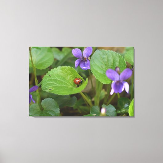 Toile Ladybug sur les fleurs de violet doux (Recto)