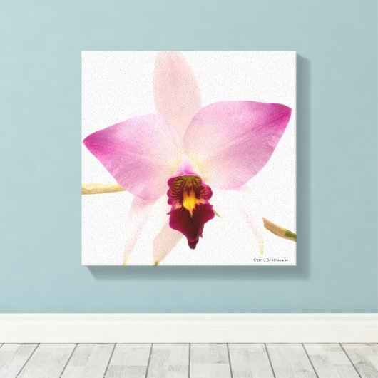 Toile Laelia Ancep (Insitu (Plancher de Bois))