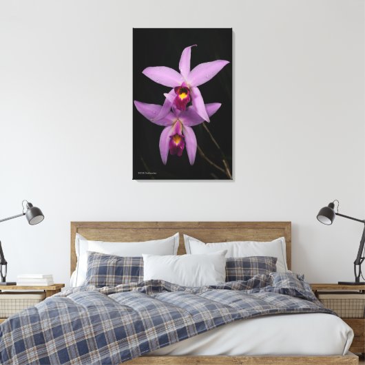 Toile Laelia Anceps (Insitu(Chambre))
