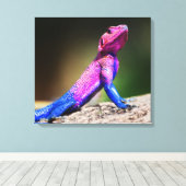 Toile L'Agama à tête plate de Mwanza sur le rocher (Insitu (Plancher de Bois))