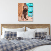 Toile Lagotto Romagnolo Attend Par Une Porte Bleue (Insitu(Chambre))