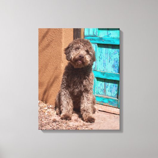 Toile Lagotto Romagnolo Attend Par Une Porte Bleue (Recto)