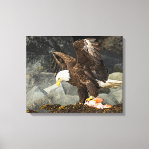 Toile L'aigle chauve ultime