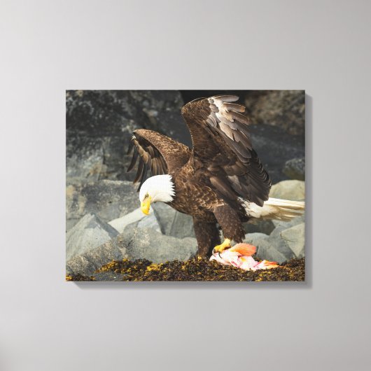 Toile L'aigle chauve ultime (Recto)