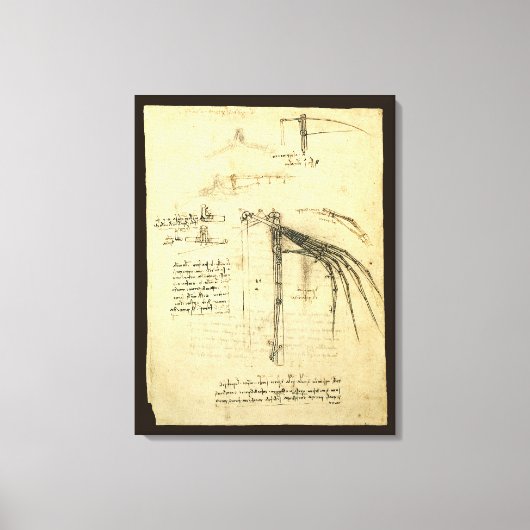 Toile L'aile de Léonard de Vinci sur la machine volante (Recto)