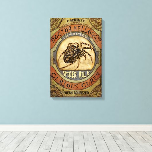 Toile Lait d'araignée (Insitu (Plancher de Bois))