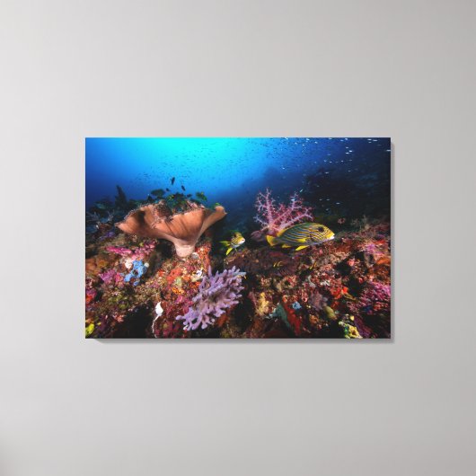 Toile Laja Ampat sous-marin (Recto)