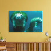 Toile Lamantin mère avec son veau à Crystal River (Insitu(Salon))