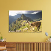 Toile Lamas et un regard sur Machu Picchu, (Insitu(Salon))