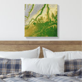 Toile L'Amazonie bolivienne (Insitu(Chambre))