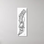 Toile lame crânienne 4 (Recto)