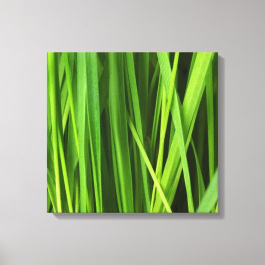 Toile Lames d'herbe (Recto)