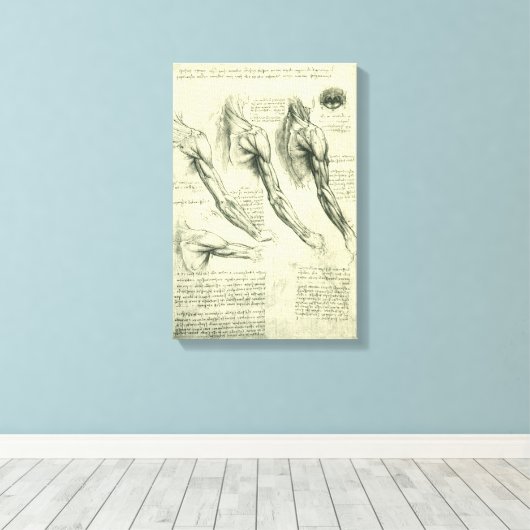 Toile L'anatomie du bras et de l'épaule de Léonard de Vi (Insitu (Plancher de Bois))