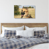 Toile Langue de berger allemande (Insitu(Chambre))