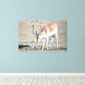 Toile L'antilope, (Insitu (Plancher de Bois))