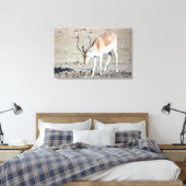 Toile L'antilope, (Insitu(Chambre))