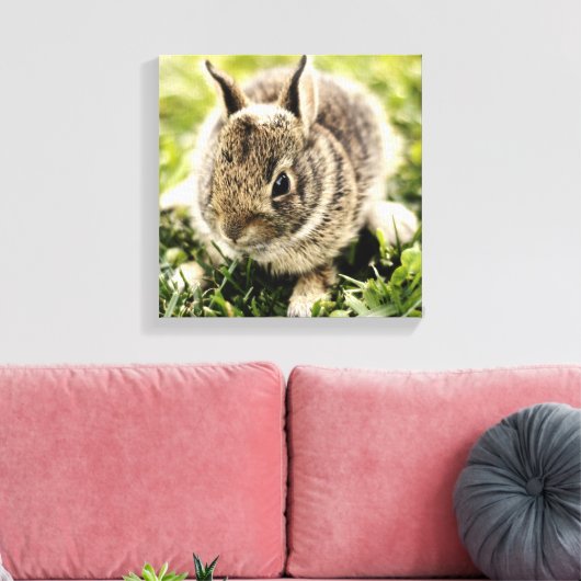 Toile Lapin bébé (Insitu(Salon))