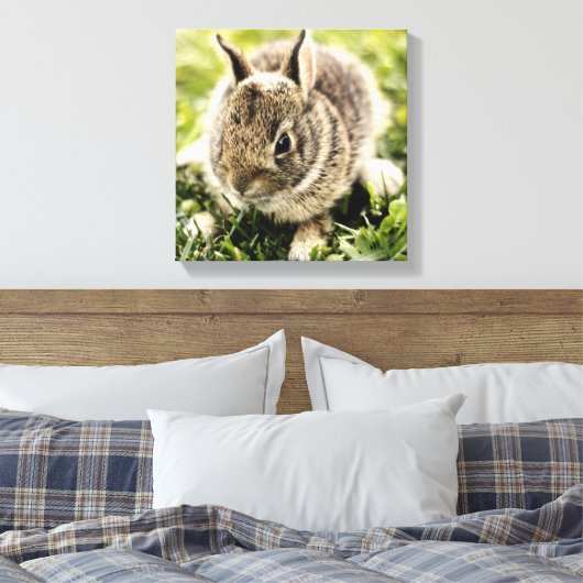 Toile Lapin bébé (Insitu(Chambre))
