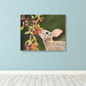 Toile Lapin de l'Est | Sud du Texas (Insitu (Plancher de Bois))
