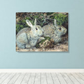 Toile Lapins (Insitu (Plancher de Bois))
