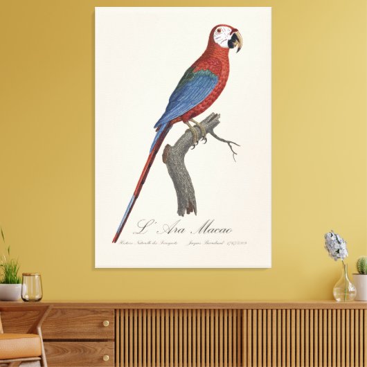 Toile L'Ara Macao / Macao rouge et vert (Insitu(Salon))