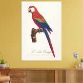 Toile L'Ara Macao / Scarlet Macaw (Insitu(Salon))