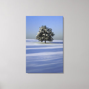 Toile L'arbre dans la neige a couvert le paysage