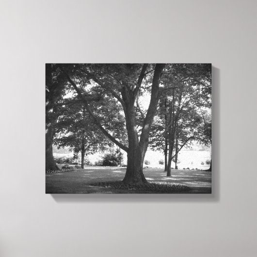 Toile L'arbre Dillard (Recto)