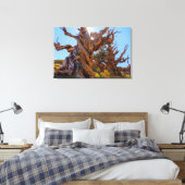 Toile L'arbre sentinelle (Insitu(Chambre))
