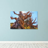 Toile L'arbre sentinelle (Insitu (Plancher de Bois))