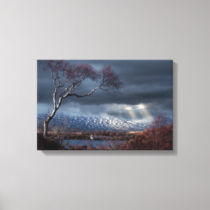 Toile L'arbre solitaire de Rannoch Moor
