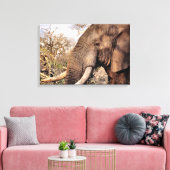 Toile L'Art des Amateurs d'éléphants (Insitu(Salon))