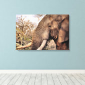 Toile L'Art des Amateurs d'éléphants (Insitu (Plancher de Bois))