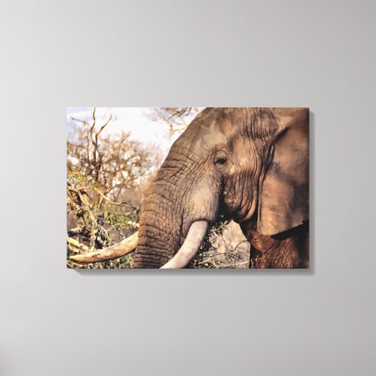 Toile L'Art des Amateurs d'éléphants (Recto)