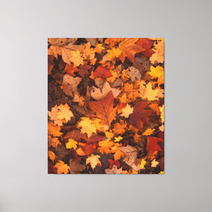 Toile l'automne