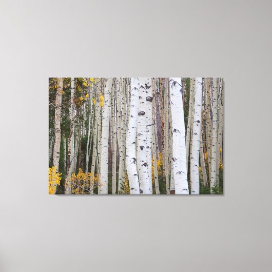 Toile L'automne dans le Aspen's (Recto)