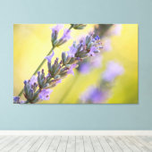 Toile lavande douce (Insitu (Plancher de Bois))