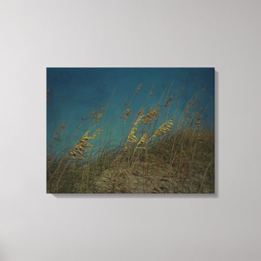 Toile L'avoine marine (Recto)