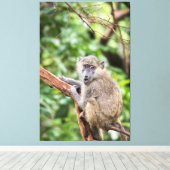 Toile Le babouin d'olive dans l'arbre (Insitu (Plancher de Bois))