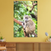 Toile Le babouin d'olive dans l'arbre (Insitu(Salon))