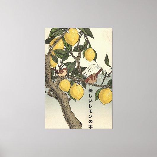 Toile Le Beau Citronnier (Recto)