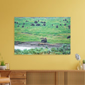 Toile Le bison américain (Insitu(Salon))