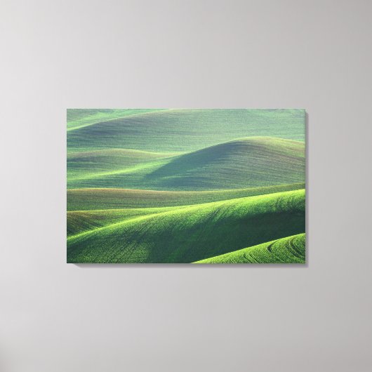 Toile Le blé jaillit dans les collines du Palouse (Recto)