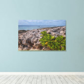 Toile Le bord des coraux (Insitu (Plancher de Bois))