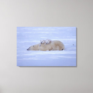 Toile Le Canada