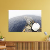 Toile Le canon MK-75 76mm (Insitu(Salon))