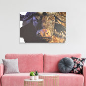 Toile Le Cap Buffalo (Insitu(Salon))